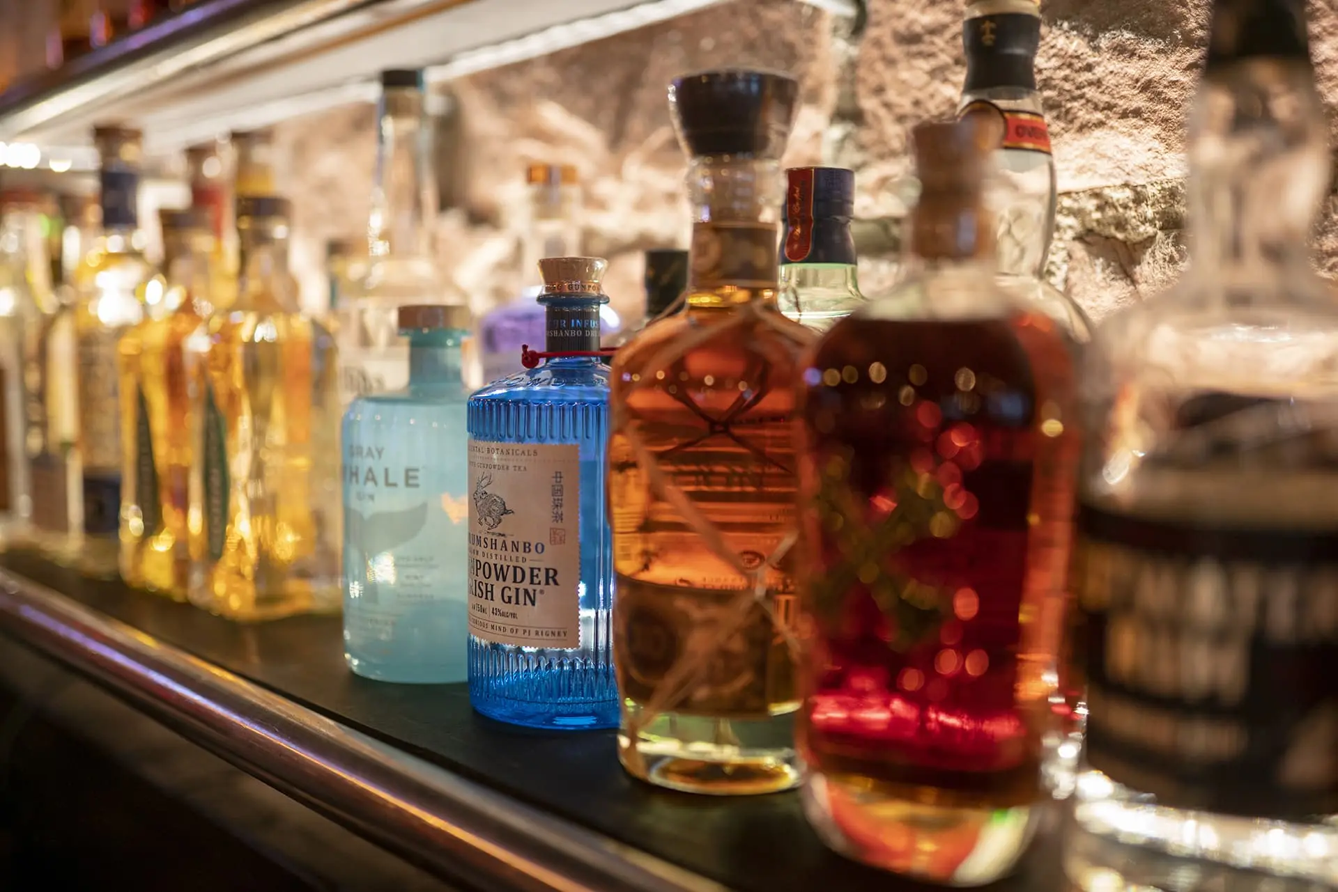 Yucca North Flagstaff, AZ