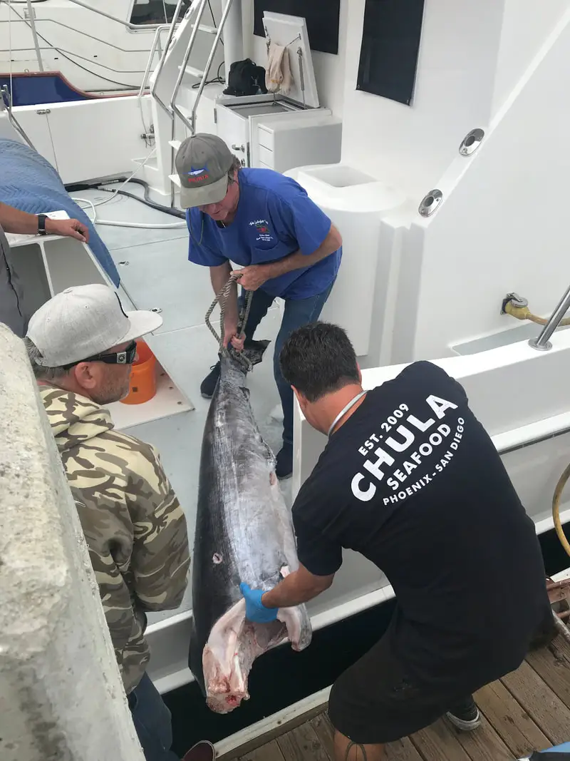 Chula Seafood Fresh Fish Market, Restaurant + Wholesale AZ + CA