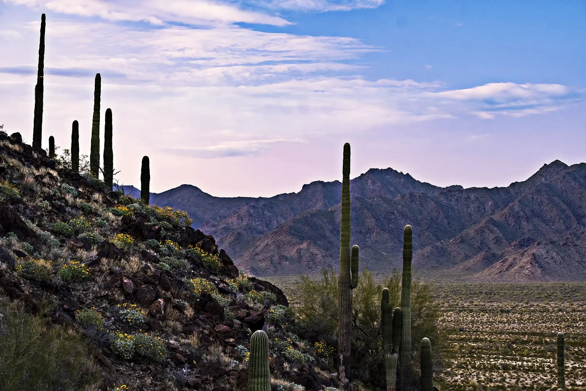 Explore AZ Wilderness: Terms of Service | Unique Arizonan Beers